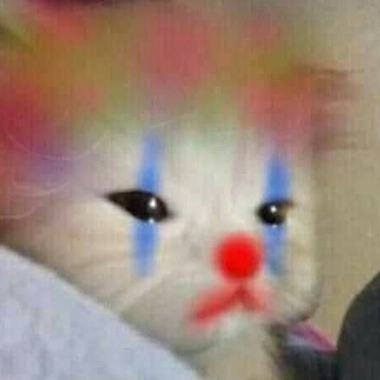 我毋是你喜欢类型：（