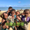 你摇去哪里