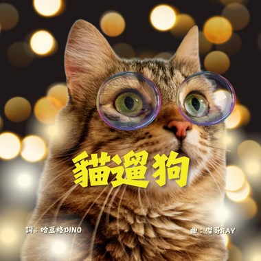 学习障碍-猫遛狗