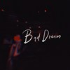 BadDream (Demo)