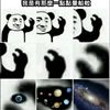 藏心（demo）feat. 锺明谚