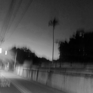Turns to Fall
