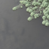 一镜湖水_