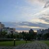 Wenshan Stray(demo)