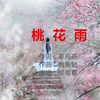 桃花雨