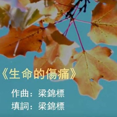 生命的伤痛