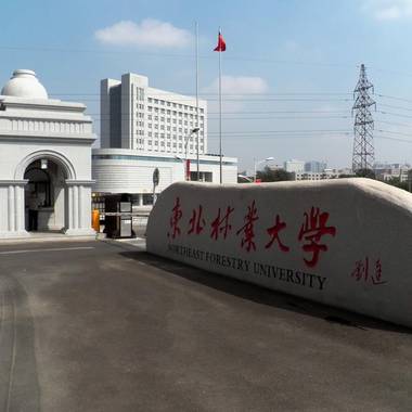 回到这里