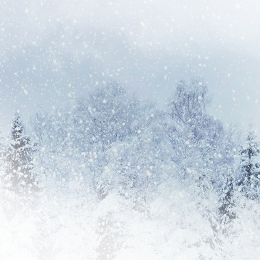 望雪