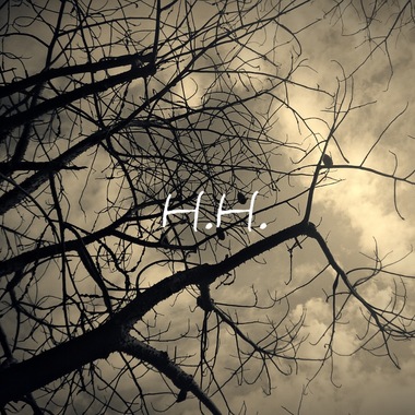 启蒙 Enlighten (Demo)