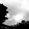 泪的自由(试听短版)