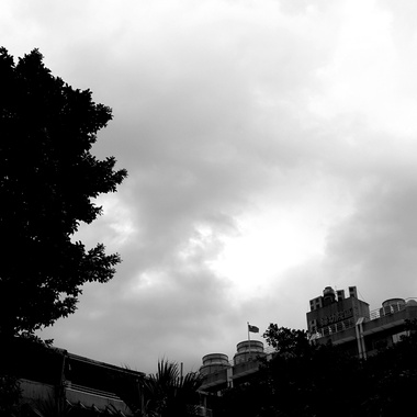 泪的自由(试听短版)