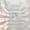 〈逐〉中仑高中十六届毕业主题曲