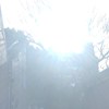 告五人 Accusefive/爱人错过 botherbooms cover