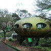 Frog Tripper