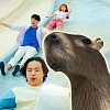 水豚男孩 The Capybara Baby!!  (demo)