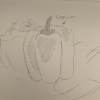 Capsicum
