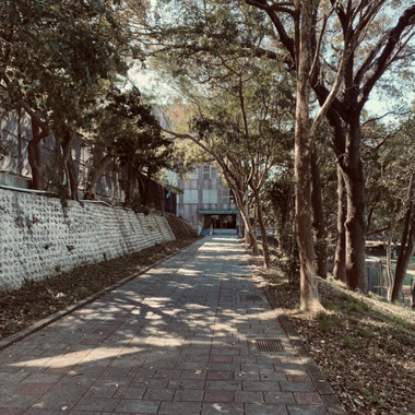 好哥郝歌