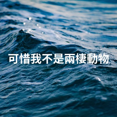 可惜我不是两栖动物