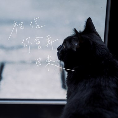 相信你会再回来