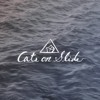猫 ?