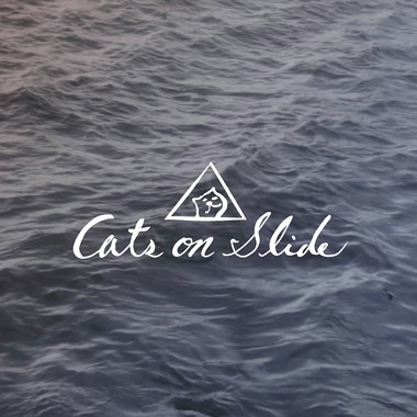 猫 ?