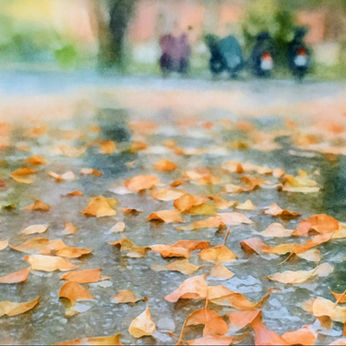 下雨天的周末