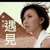 遇见 - 孙燕姿 (cover)