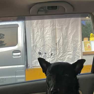 胆小鬼 demo