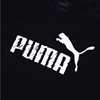 PUMA 2018