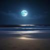 【Piano】La mer sous la lune (月下的海)