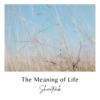 The Meaning of Life (Demo) (2022)
