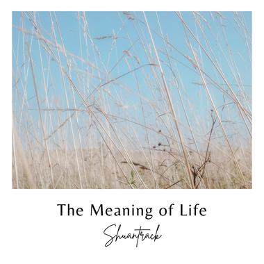 The Meaning of Life (Demo) (2022)