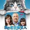 2016年电影作品｜我的老爸喵星人｜中文宣传曲｜躲猫猫