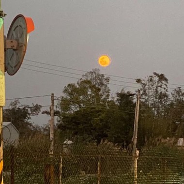 Lunar