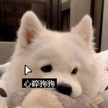 心碎狗狗