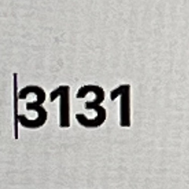 3131