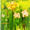 向阳