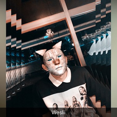 weslii -【调皮的猫 Naughty Cat】@_weslii_