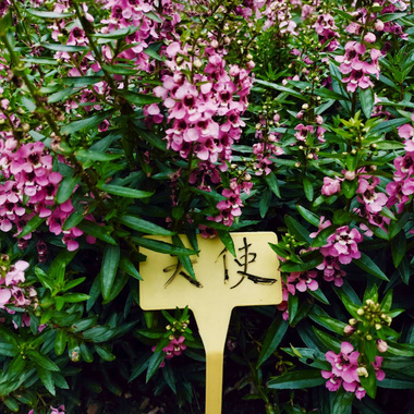 亲爱，我爱的人在远方