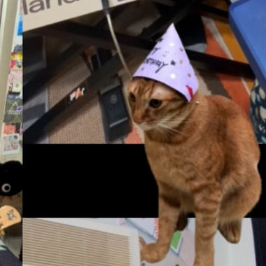 Cinnamon Mango - Moonchild - Up from here - Cover