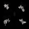 seven times seven / analog bow 安落