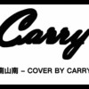 南山南 covered by Carry