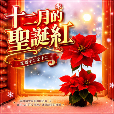 十二月的圣诞红 ｜ 花语十二专辑之十二