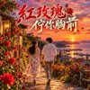 《红玫瑰伫你胸前》|   (玫瑰伤) 交响乐改编成那卡西