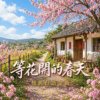 等花开的春天  |  怀旧闽南语歌曲  |