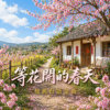 等花开的春天｜ 怀旧台语金曲