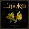 二月的水仙 ｜ 花语十二专辑之二