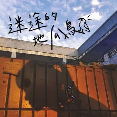 迷途的地瓜鸟