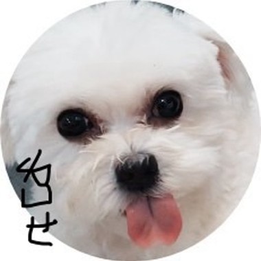 红花三十