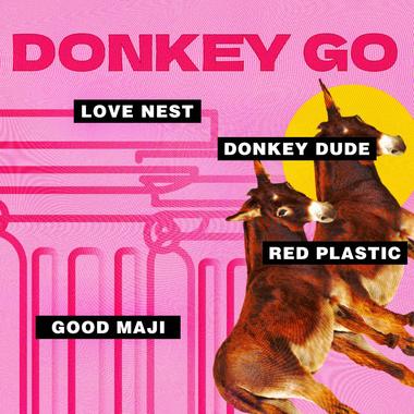 Donkey go